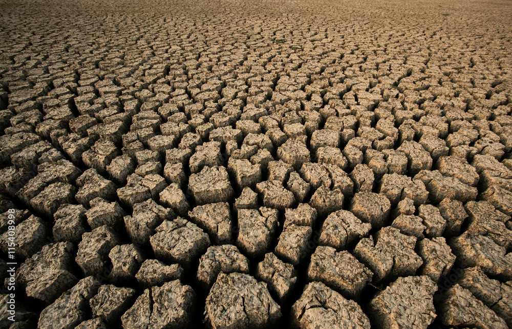 Background of dry cracked soil dirt Background of dry cracked soil dirt