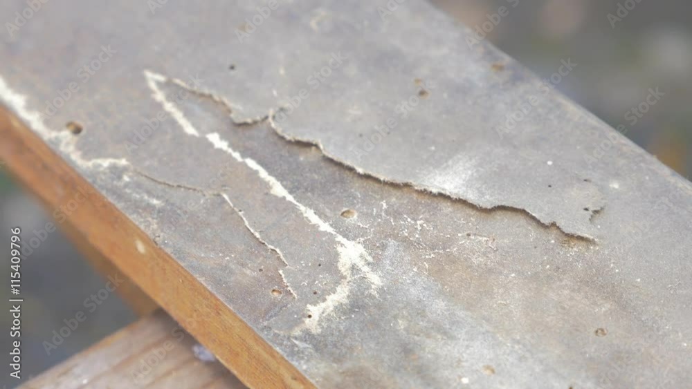 Old wooden board on table waiting to be processed 4K 2160p UHD footage - Rotten board on the work table 4K 3840X2160 UHD video Old wooden board on table waiting to be processed 4K 2160p UHD footage - Rotten board on the work table 4K 3840X2160 UHD video