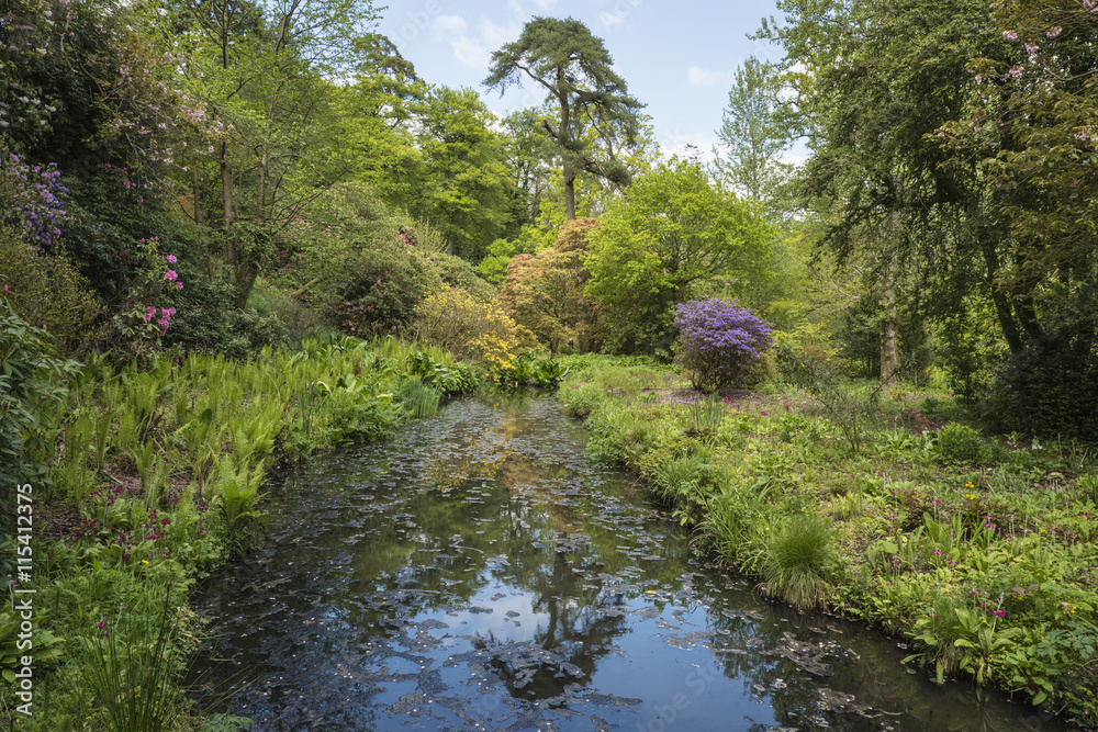 Beautiful Summer landscape image of calm pond with reflections o
