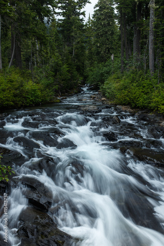 Fast moving mountain stream in a forest setting.