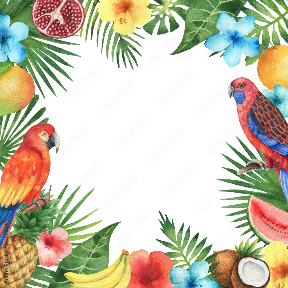 Watercolor frame of the tropical plants and birds.
