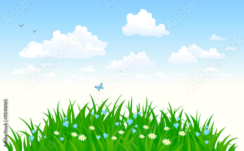 Grass and sky