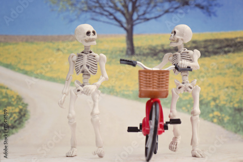 Two skeleton friends walking and chatting with a bicycle in a park - springy textured