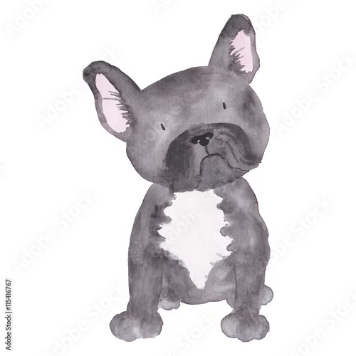 Naklejka na ścianę Ilustracja Buldog francuski Pies Akwarela zwierzaka