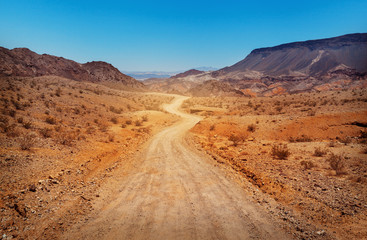 Poster Woestijnlandschap Weg door woestijn Zuid-Nevada  © photobyevgeniya