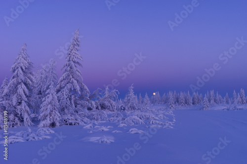 Winter landscape with forest, cloudy sky, sun, sunset and trees 