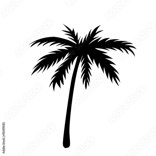 One palm tree outline. Black coconut tree silhouette isolated on white background. Symbol of tropical nature  beach  summer holiday  travel. Floral exotic landscape. Natural design Vector illustration