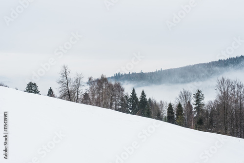 Mountains in winter