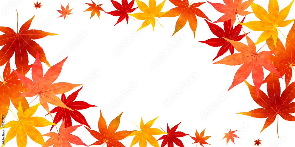 紅葉 秋 葉 背景 紅葉 秋 葉 背景