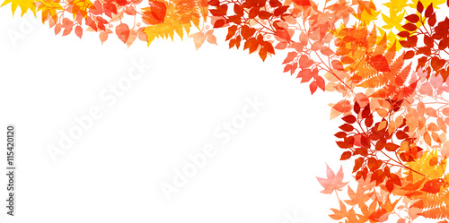 紅葉　秋　葉　背景