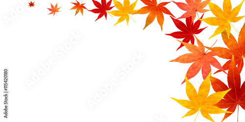 紅葉　秋　葉　背景