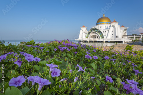 Wallpaper Mural The Vibrant Color of Shah Alam Mosque / Salahuddin Abdul Aziz Shah mosque during dramatic Torontodigital.ca