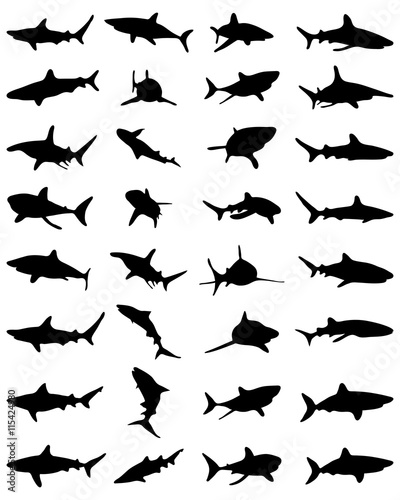Black shark silhouettes on the white background, vector