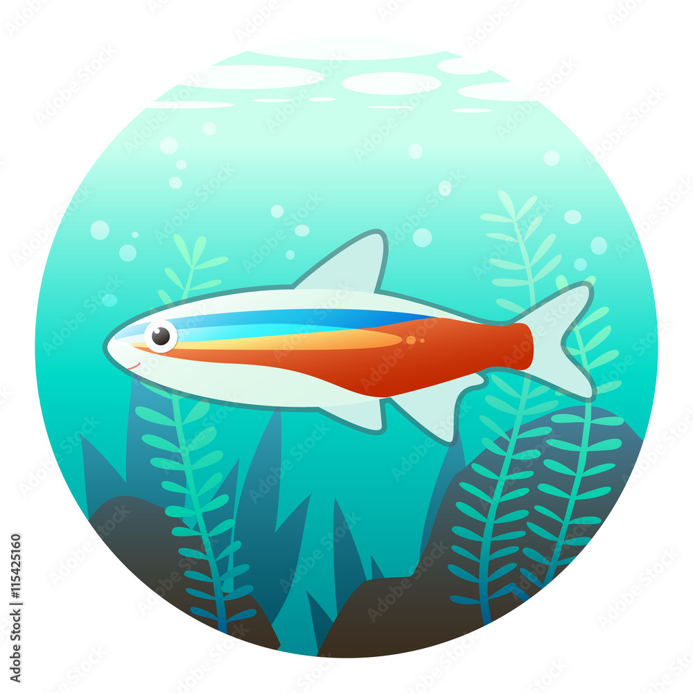 熱帯魚 アクアリウムのイラスト Stock Illustration Adobe Stock