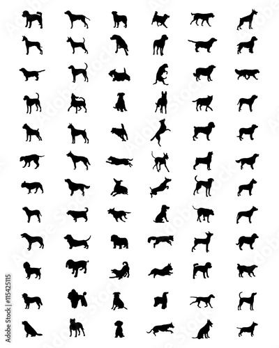 Black silhouettes of different breeds of dogs, vector
