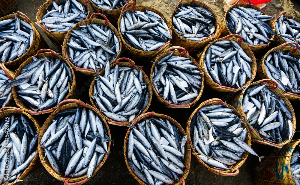 VUNG TAU, VIETNAM - 03 JULY 2016: Fresh fish piled up in bamboo baskets at Long Hai fishing port