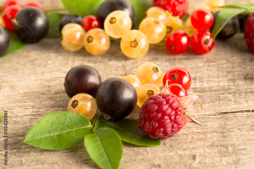 blueberry raspberry currant berries blueberry raspberry currant berries