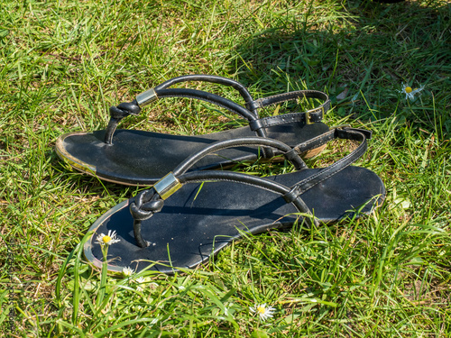 pair of sandals on a park lawn during summer