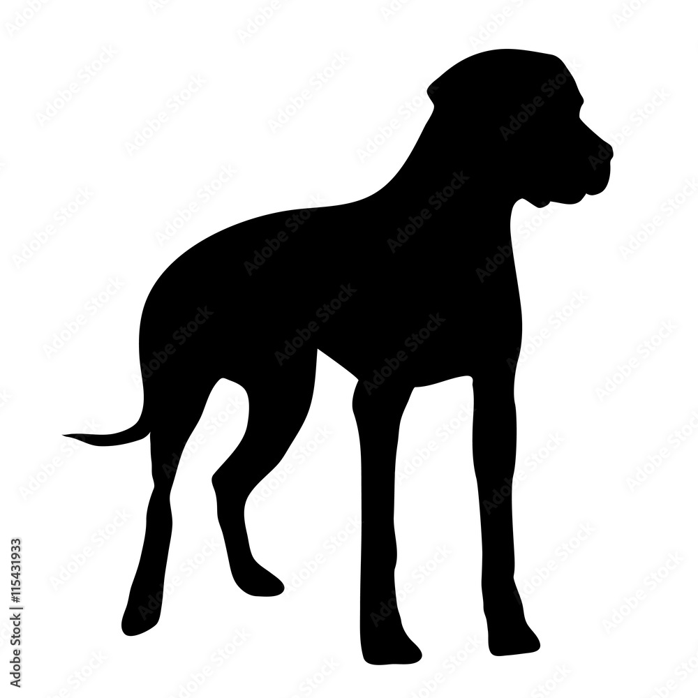 Vector illustration of dog.