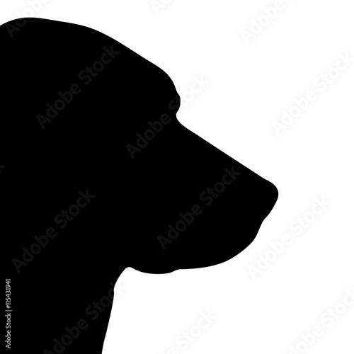 Vector illustration of dog.