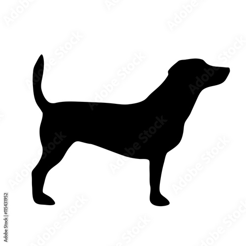 Vector illustration of dog.