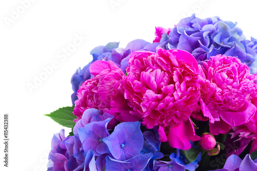 Bright pink peony and blue hortensia flowers bouquet close up isolated on white background