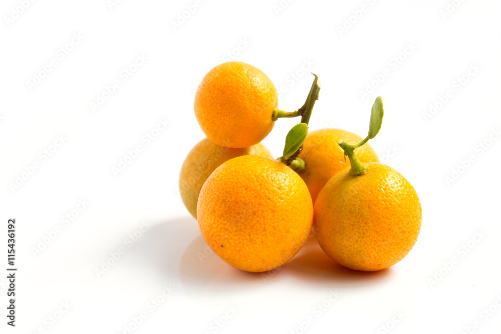 Orange Kumquat placed on white background Orange Kumquat placed on white background