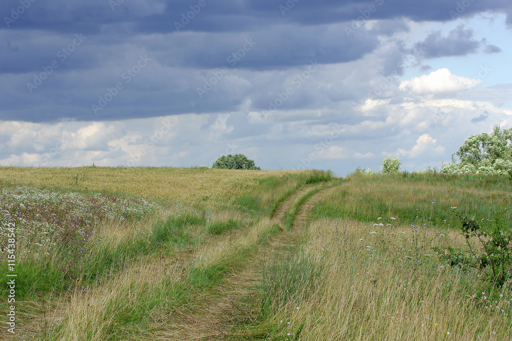 Dirt road through meadow.