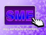 Sme Button Indicates Web Site And Business