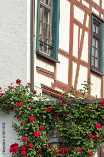 Rosenranken an einem historischen Gebäude am Platz von Montrichard in Eltville am Rhein, Rheingau, Hessen © sehbaer_nrw