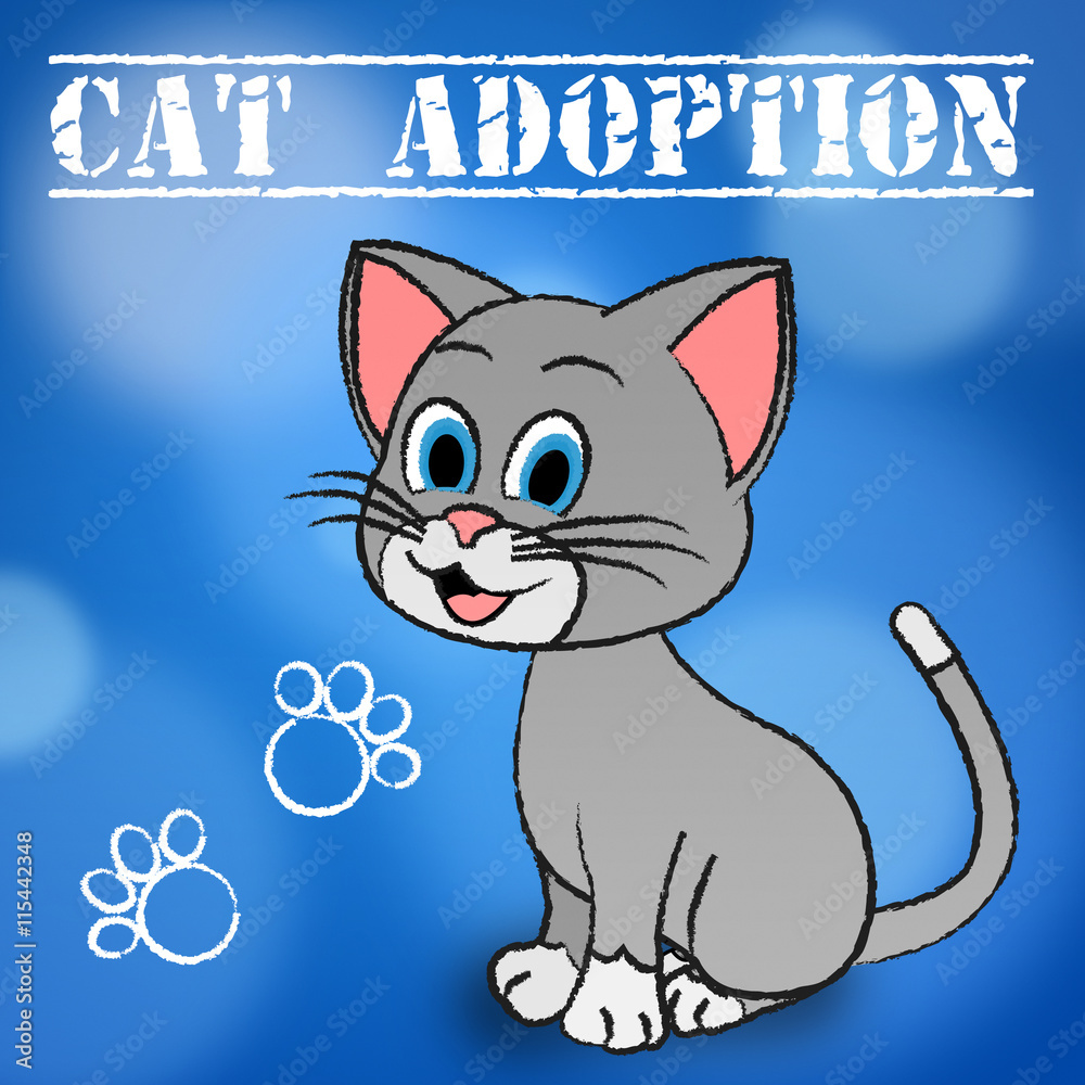 Cat Adoption Means Guardianship Pet And Adopted Cat Adoption Means Guardianship Pet And Adopted