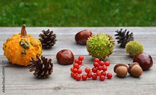 Autumn fruits. Autumn fruits on old wooden table. 
