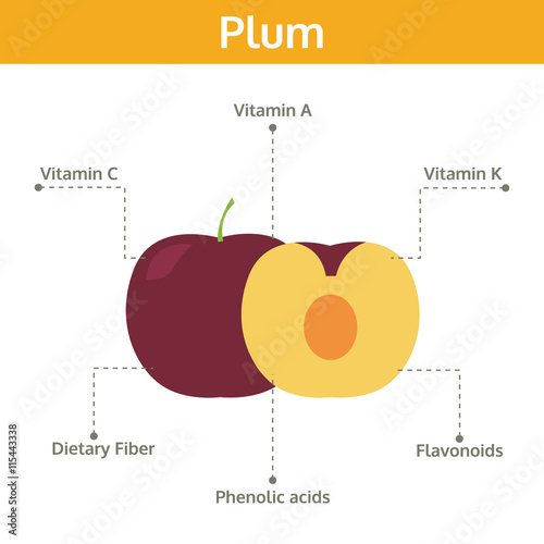 plum nutrient of facts and health benefits, info graphic fruit