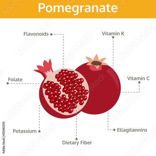 pomegranate nutrient of facts and health benefits, info graphic