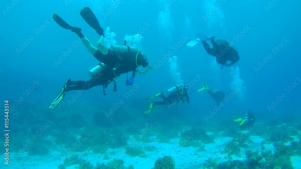 Group scuba divers with a coral reef, Red sea, Egypt, Africa
Group scuba divers with a coral reef, Red sea, Egypt, Africa