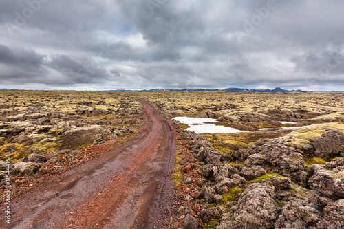 View at Icelandic plains during summertime