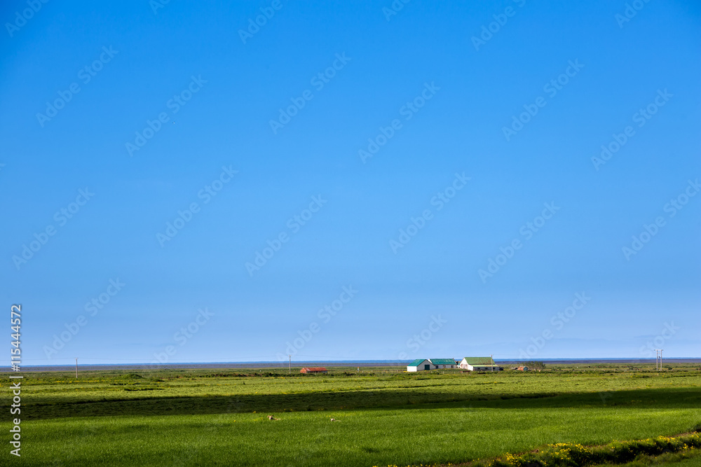 Naklejka premium View at Icelandic plains during summertime