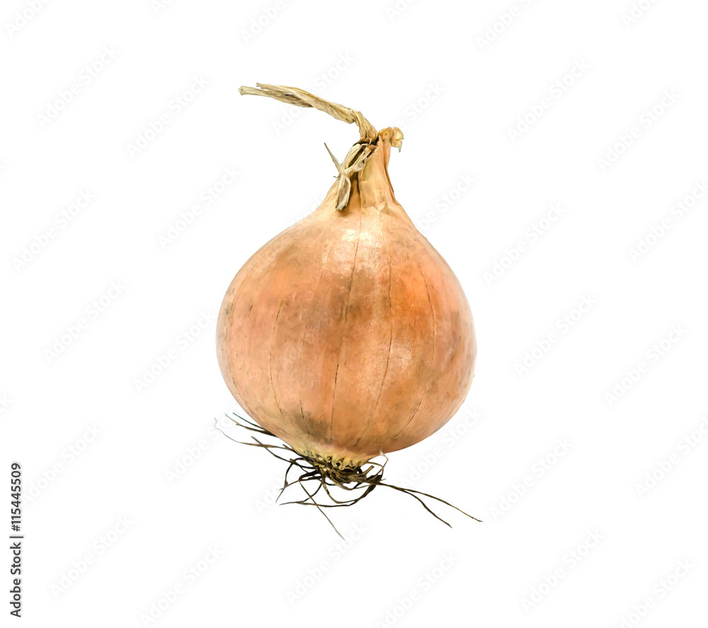 yellow onion on white