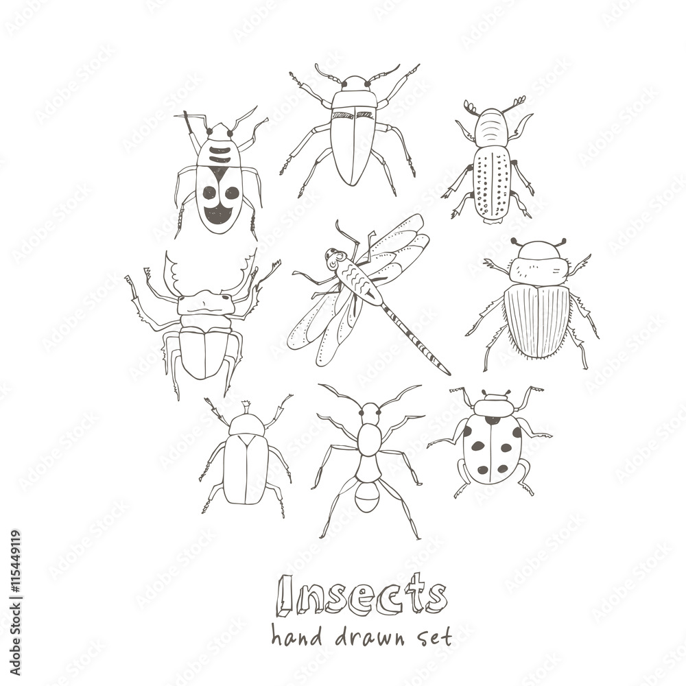 Obraz premium Set of doodle sketch Bugs and beetles