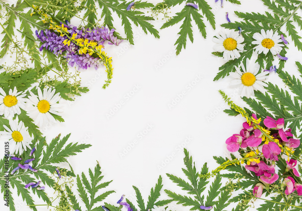 Frame with different herbs and flowers Frame with different herbs and flowers