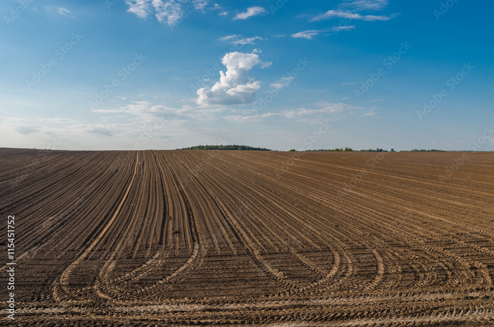 Plowed brown field under blue sky Plowed brown field under blue sky