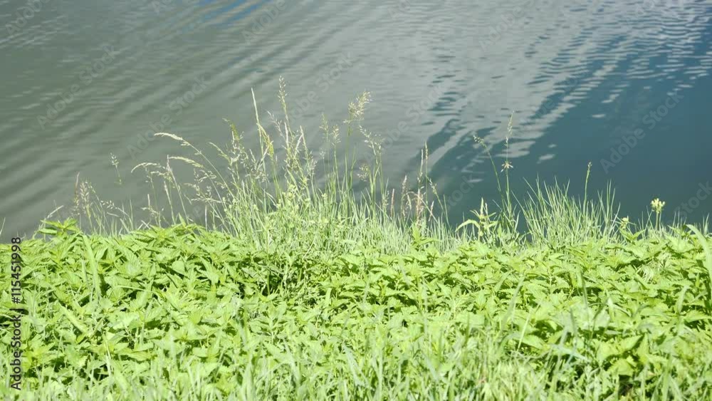Lake, ripple on the water with the reflection of clouds and green grass Lake, ripple on the water with the reflection of clouds and green grass