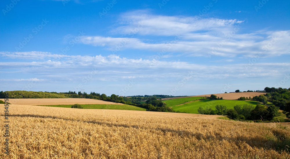 Paysage bucolique de France