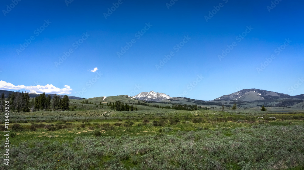 Fototapeta premium Yellowstone National Park Landscape