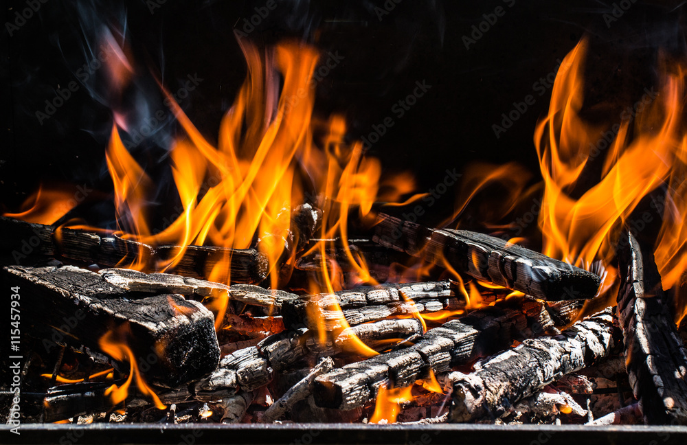 Burning firewood in the fireplace Burning firewood in the fireplace