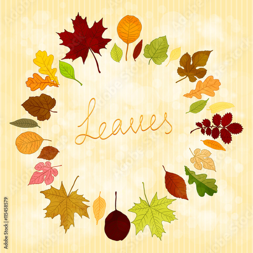 Autumn leaves vector background