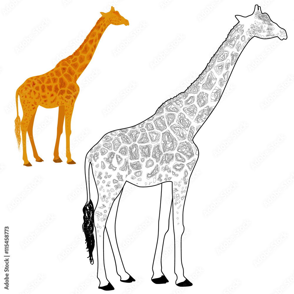 Naklejka premium Giraffe coloring page