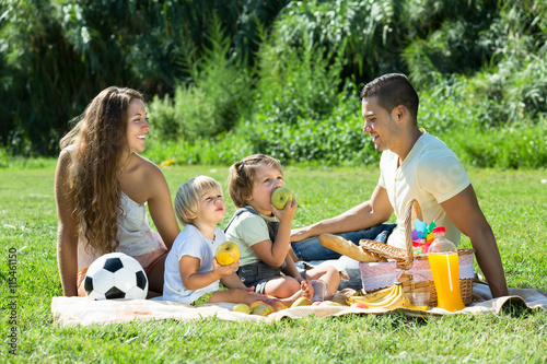 Family of four on picnic