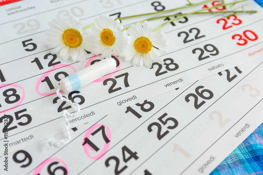 White calendar with pink circles around menstruation date period and clean tampons lying on top. White calendar with pink circles around menstruation date period and clean tampons lying on top.