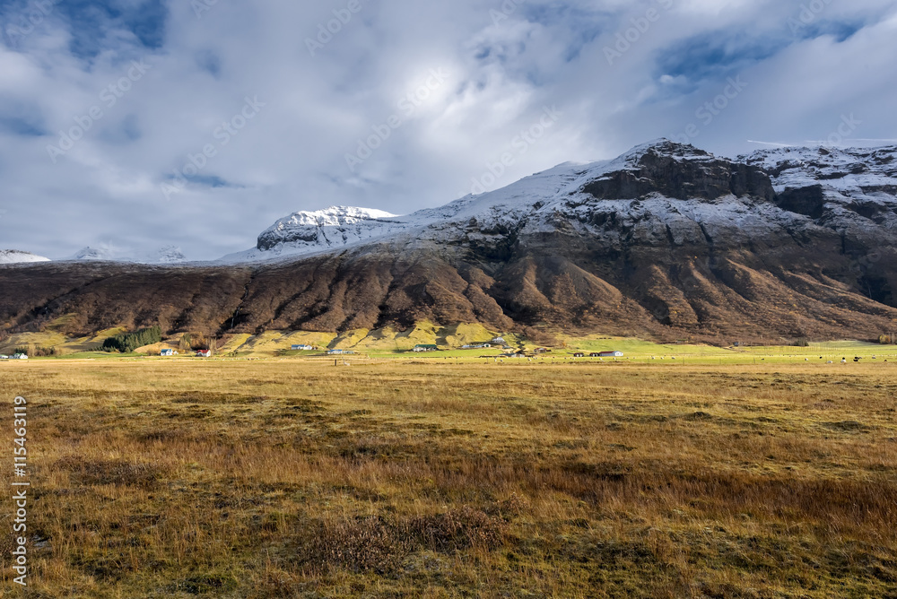 Iceland, Beautiful arctic landscape, wild field with bright yellow grass and moss and distant black hills against the background of blue sky